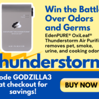 EP Thunderstorm III Banner GODZILLA3 300x250